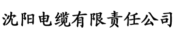 国语正影院电缆厂logo